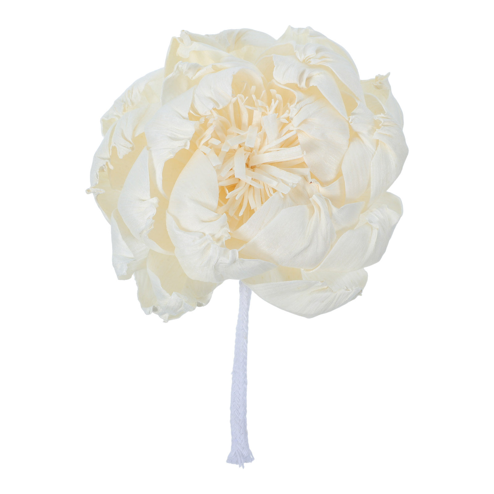 Home And You Fragrance Diffuser - Peony Head Fragrance Diffuser Flower 12Cm