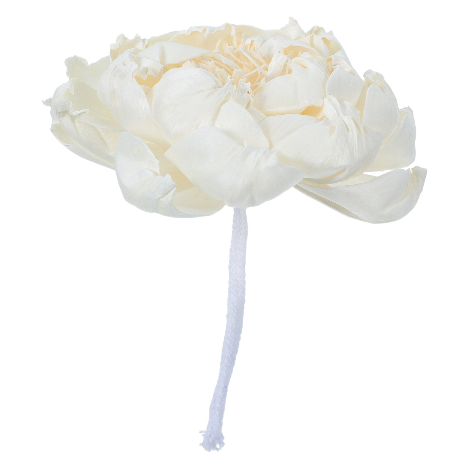 Peony Head Fragrance Diffuser  - Home And You Fragrance Diffuser ulasan dan harga