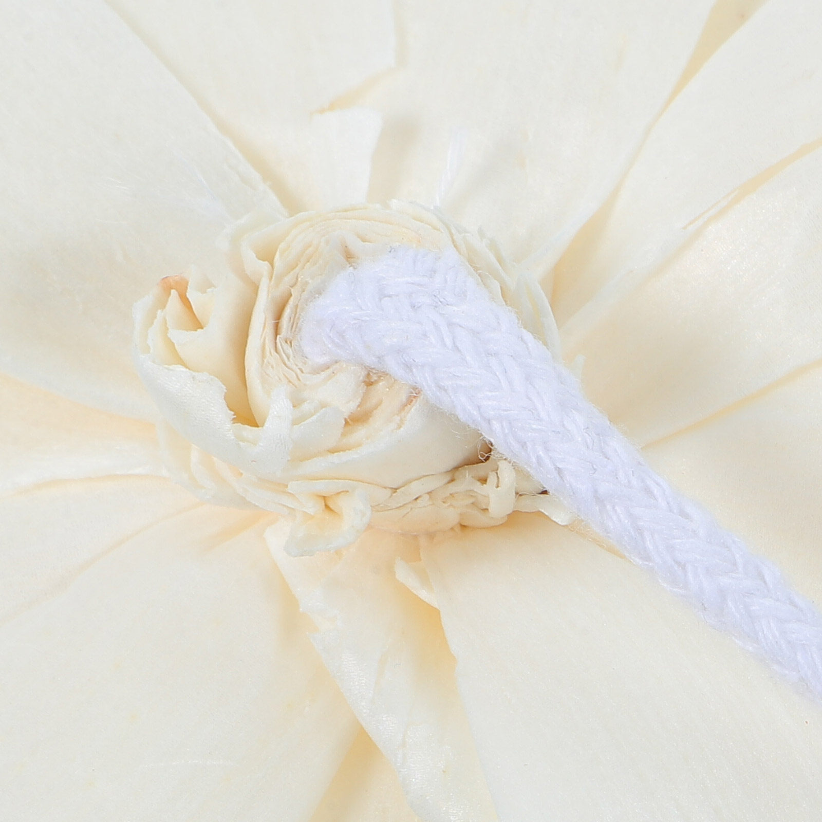 Peony Head Fragrance Diffuser  - Home And You Fragrance Diffuser ulasan dan harga