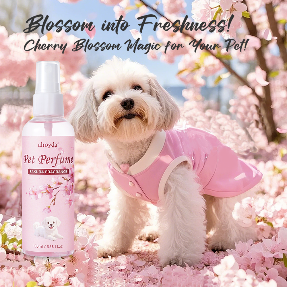 Sakura Pet Perfume Spray Long  - Home Spray Fragrance ulasan dan harga